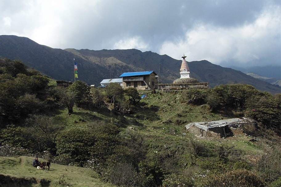 Gallery image